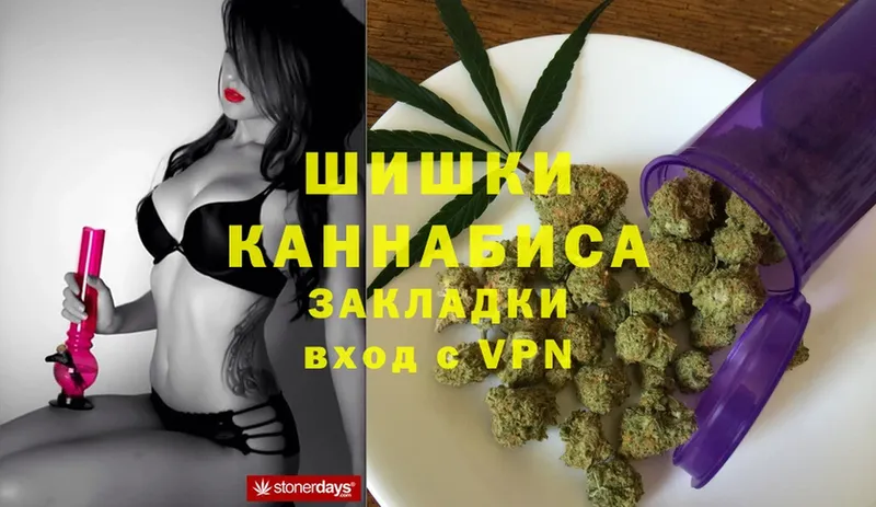 Бошки Шишки THC 21%  где купить наркоту  Кизляр 